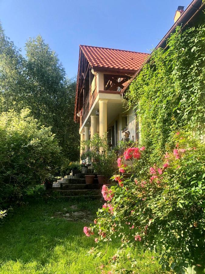 Bed and Breakfast Modryna Ranczo Красичин Экстерьер фото