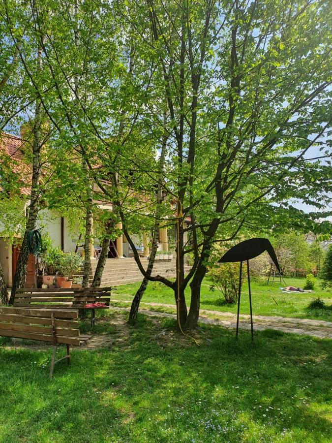 Bed and Breakfast Modryna Ranczo Красичин Экстерьер фото